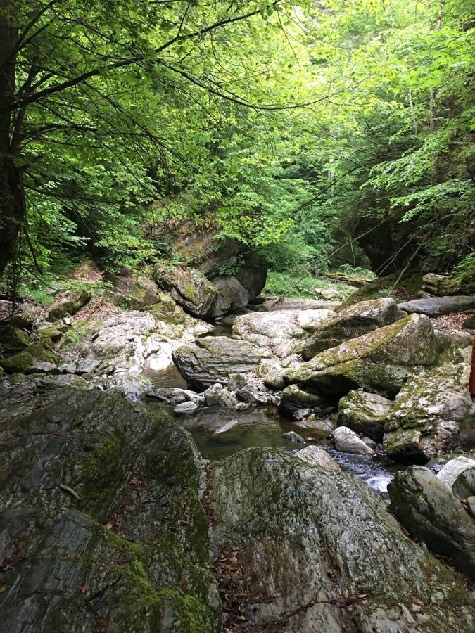 Ferienwohnung Raabklamm Arzberg Eksteriør bilde